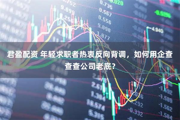 君盈配资 年轻求职者热衷反向背调，如何用企查查查公司老底？