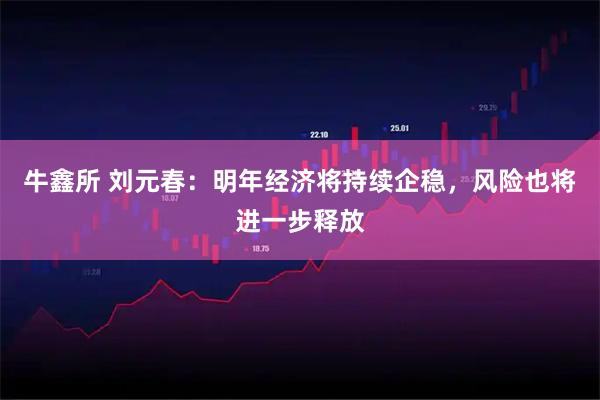 牛鑫所 刘元春：明年经济将持续企稳，风险也将进一步释放