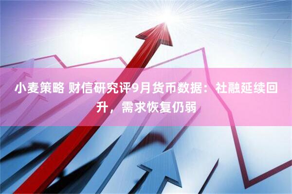 小麦策略 财信研究评9月货币数据:社融延续回升,需求恢复仍弱