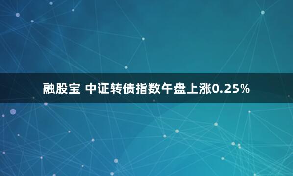 融股宝 中证转债指数午盘上涨0.25%
