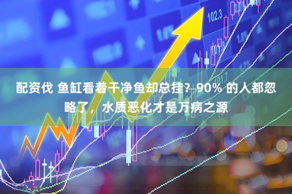 配资伐 鱼缸看着干净鱼却总挂？90% 的人都忽略了，水质恶化才是万病之源