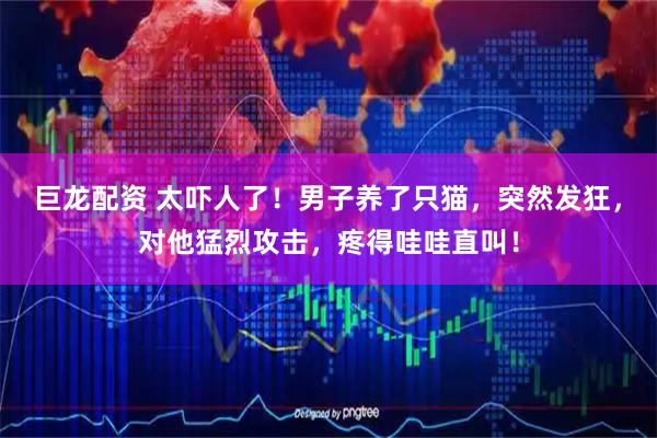 巨龙配资 太吓人了！男子养了只猫，突然发狂，对他猛烈攻击，疼得哇哇直叫！