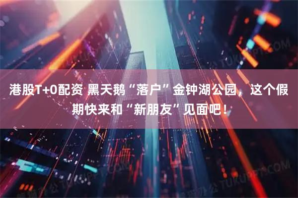 港股T+0配资 黑天鹅“落户”金钟湖公园，这个假期快来和“新朋友”见面吧！