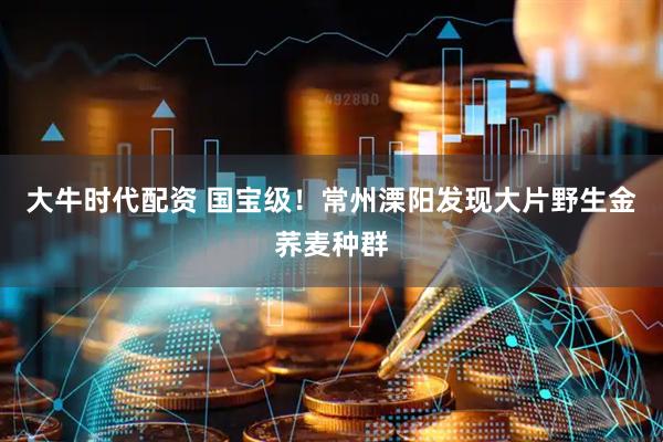 大牛时代配资 国宝级！常州溧阳发现大片野生金荞麦种群