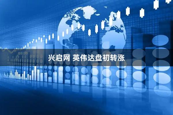 兴启网 英伟达盘初转涨