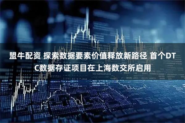 盟牛配资 探索数据要素价值释放新路径 首个DTC数据存证项目在上海数交所启用
