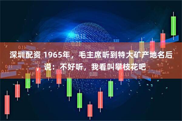 深圳配资 1965年，毛主席听到特大矿产地名后，说：不好听，我看叫攀枝花吧