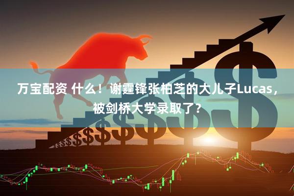 万宝配资 什么！谢霆锋张柏芝的大儿子Lucas，被剑桥大学录取了？