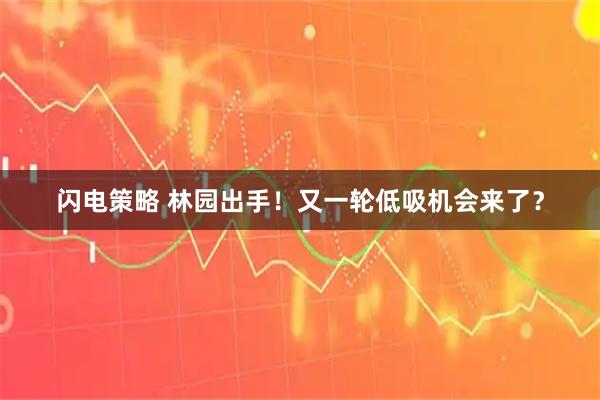 闪电策略 林园出手！又一轮低吸机会来了？