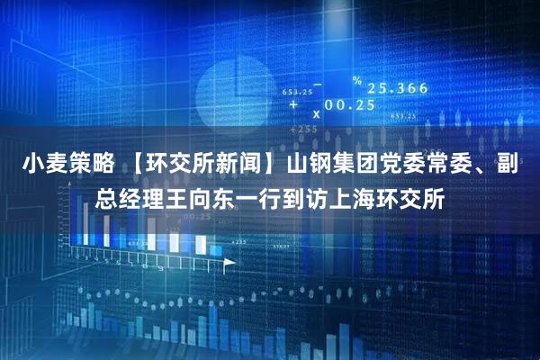 小麦策略 【环交所新闻】山钢集团党委常委、副总经理王向东一行到访上海环交所