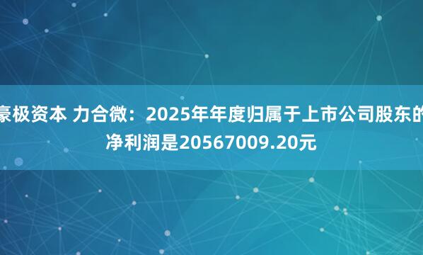 豪极资本 力合微：2025年年度归属于上市公司股东的净利润是20567009.20元
