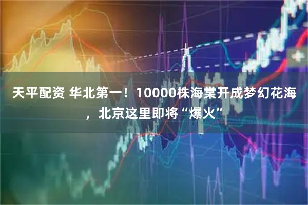 天平配资 华北第一！10000株海棠开成梦幻花海，北京这里即将“爆火”