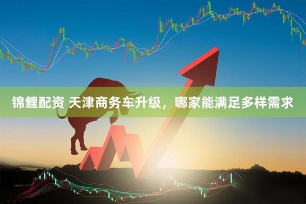 锦鲤配资 天津商务车升级，哪家能满足多样需求