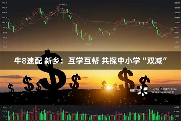 牛8速配 新乡：互学互帮 共探中小学“双减”