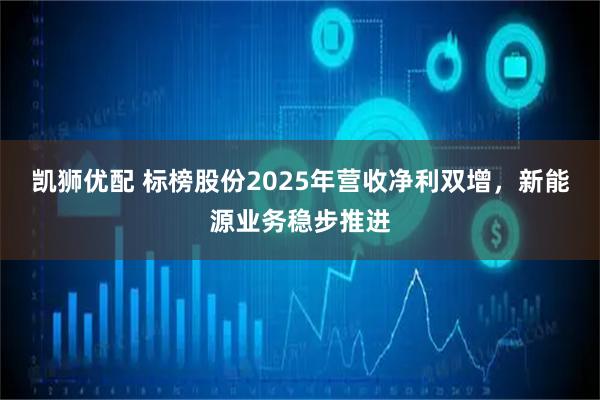 凯狮优配 标榜股份2025年营收净利双增，新能源业务稳步推进