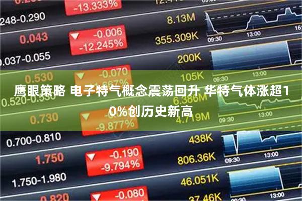 鹰眼策略 电子特气概念震荡回升 华特气体涨超10%创历史新高