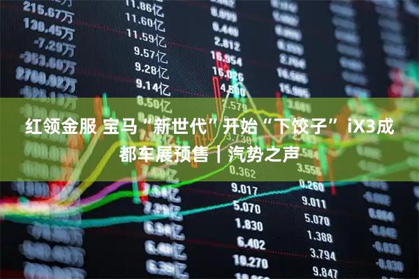 红领金服 宝马“新世代”开始“下饺子” iX3成都车展预售｜汽势之声